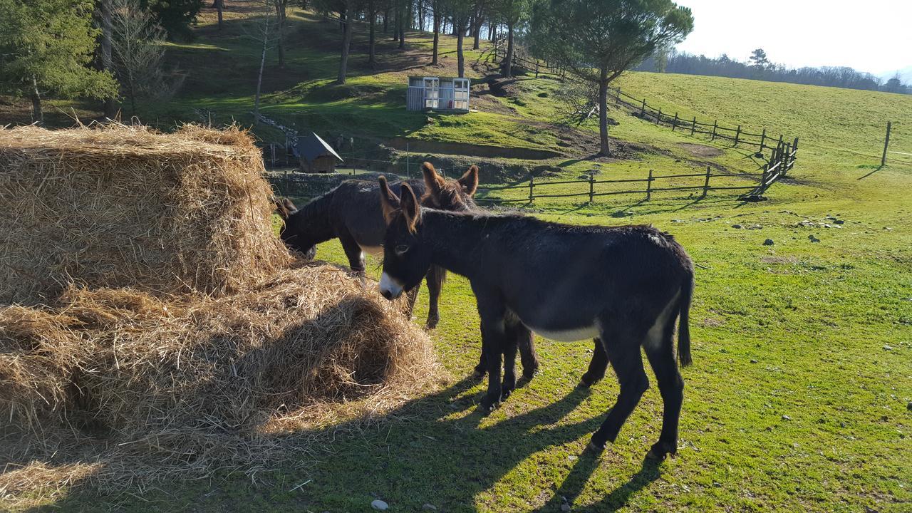 Podere Montese Villafranca in Lunigiana Exterior foto