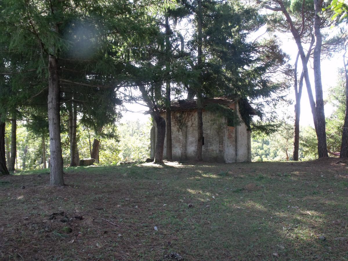 Podere Montese Villafranca in Lunigiana Exterior foto
